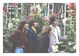 "All Together Now"