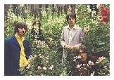 "Flower Power" one